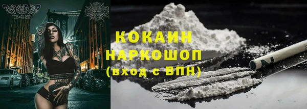 прущие грибы Белоозёрский