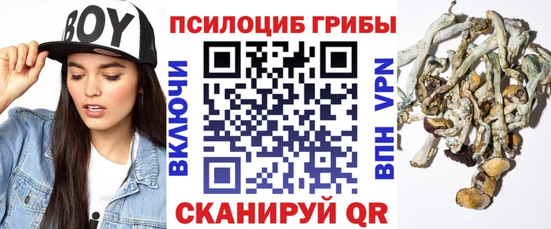 Галлюциногенные грибы Psilocybine cubensis  OMG онион  Белореченск 